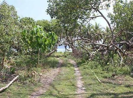 Alofa Beach Bungalows Lénakel Zewnętrze zdjęcie