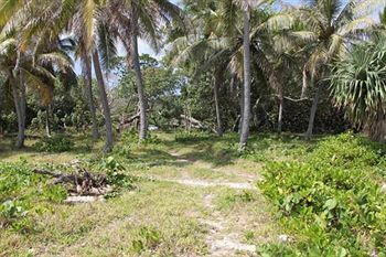 Alofa Beach Bungalows Lénakel Zewnętrze zdjęcie