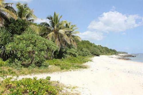 Alofa Beach Bungalows Lénakel Zewnętrze zdjęcie